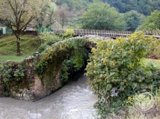 img-7885 img-7885