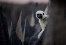 tsingy_de_bemaraha_01